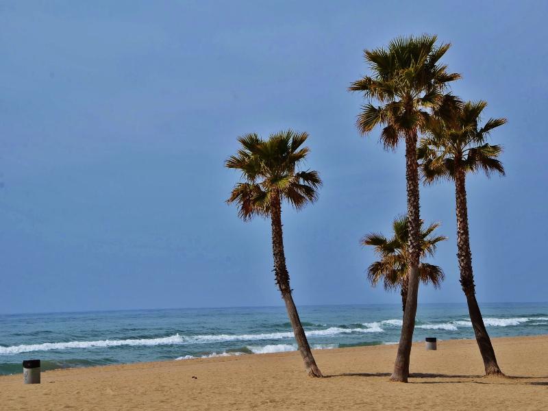 Camping Estival Vendrell Platja كوماروغا المظهر الخارجي الصورة