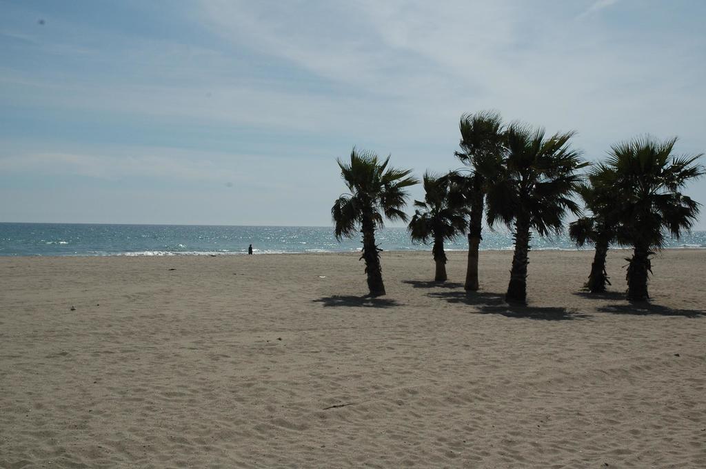 Camping Estival Vendrell Platja كوماروغا الغرفة الصورة